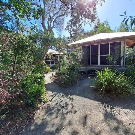 Castaways Moreton Island Bulwer Exteriör bild