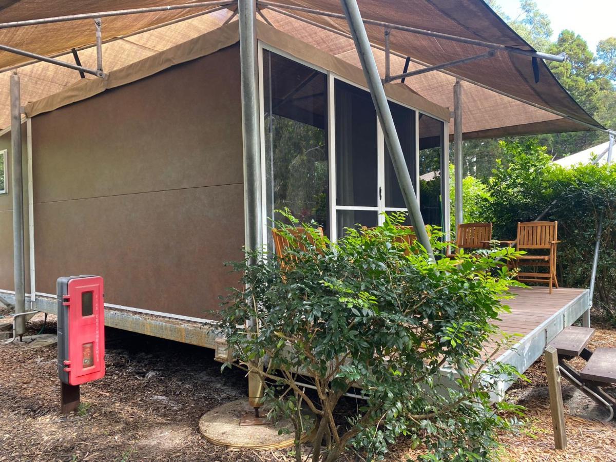 Castaways Moreton Island Bulwer Exteriör bild