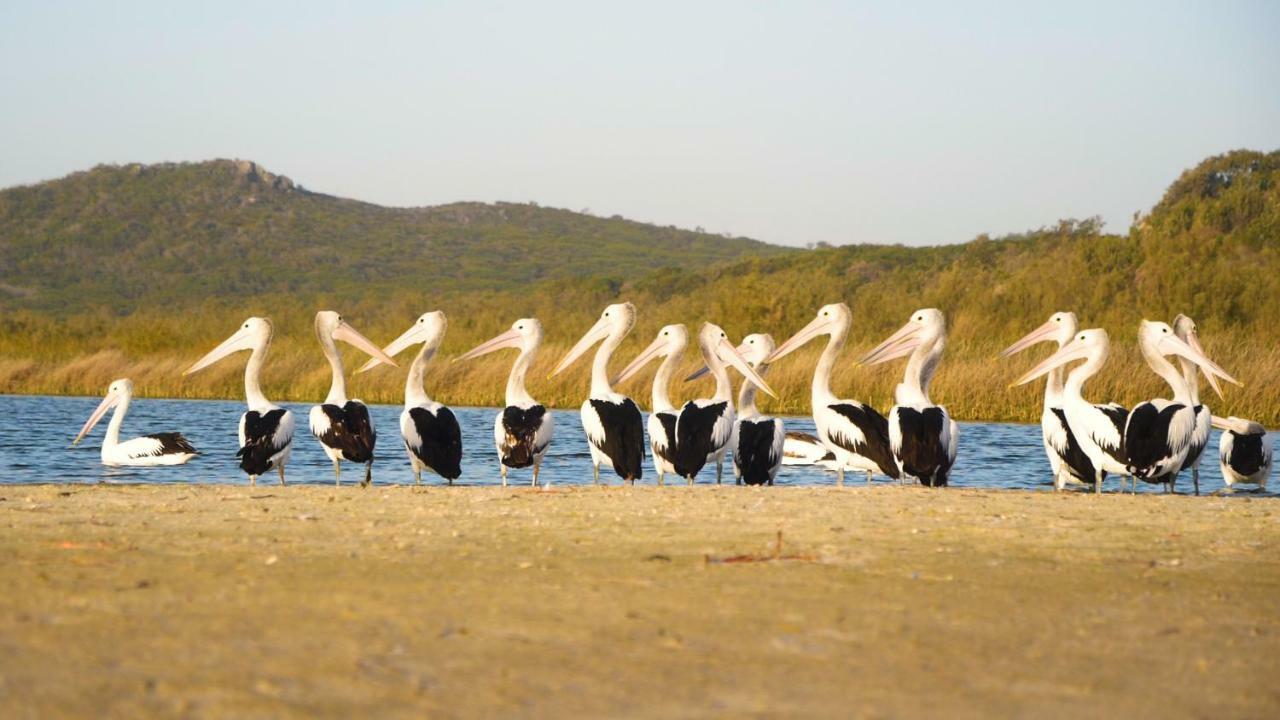 Castaways Moreton Island Bulwer Exteriör bild
